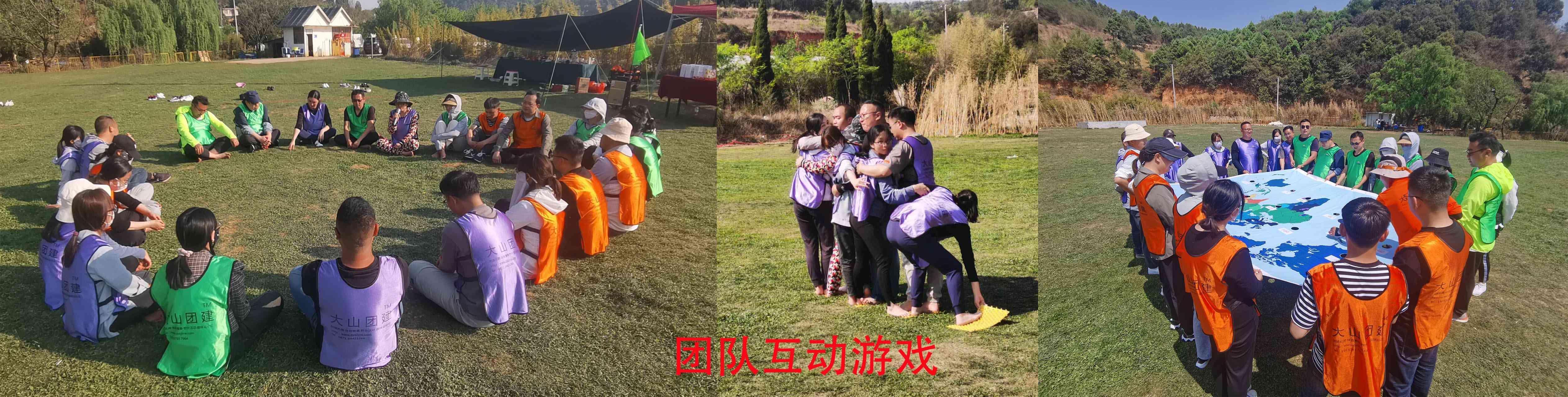 云顶集团3118官网