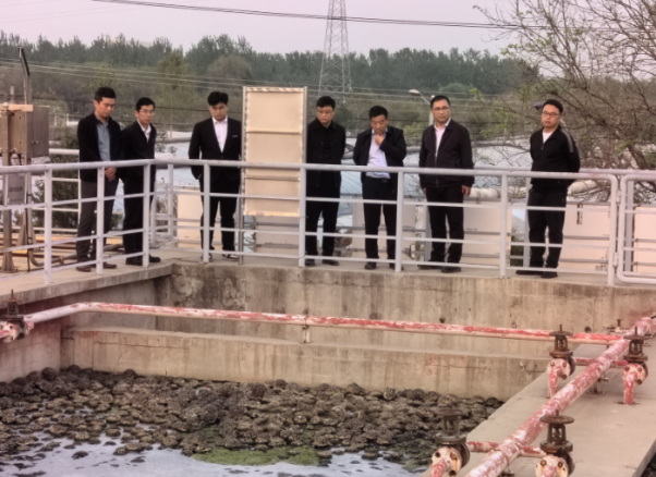 云顶集团3118官网