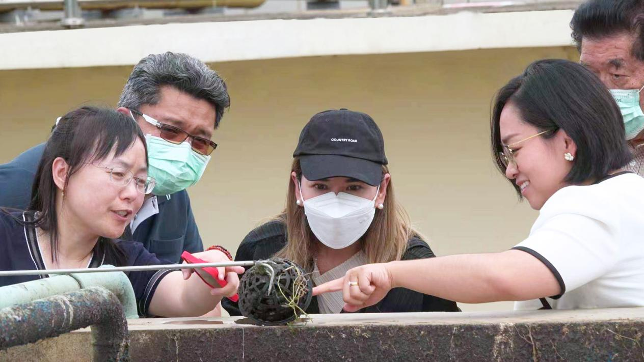 云顶集团3118官网