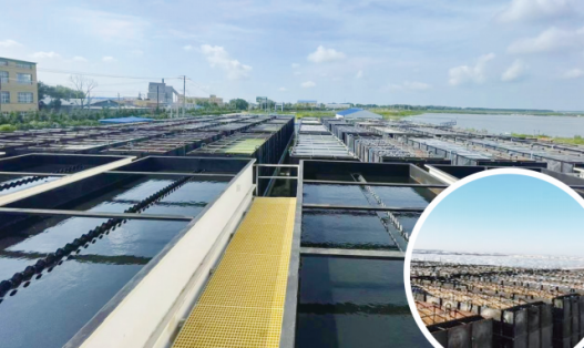 云顶集团3118官网