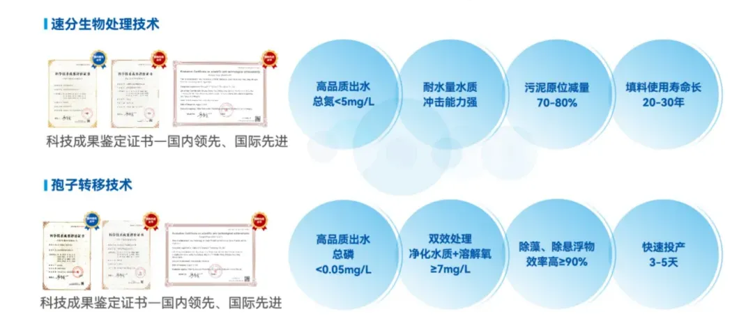 云顶集团3118官网